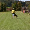 20111016_1537927694_bild34