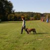 20111016_1973382490_bild30