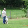 20080720_1964671597_hundeplatzklein