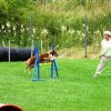 20090713_1031368649_sommerfest_2009_312