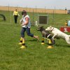 20120922_1779833772_img_7825