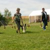 20120922_1964933879_img_7904
