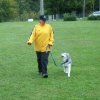 20081109_1754610600_rimg0009-klein