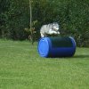 20081109_1858082801_rimg0261-klein