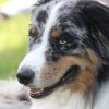 170610_Sommerfest